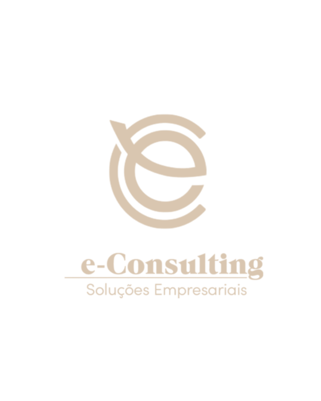 e-Consulting Soluções Empresariais